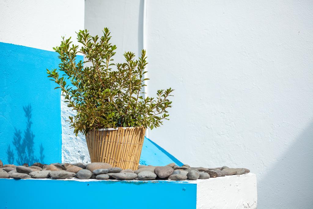 The Pallet - Guest House سانتا كروز المظهر الخارجي الصورة